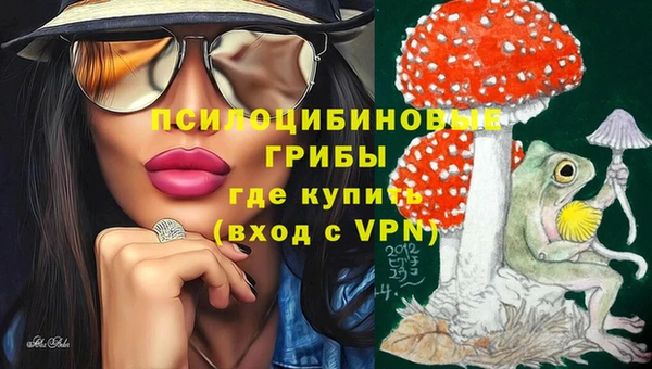 твердый Алексин