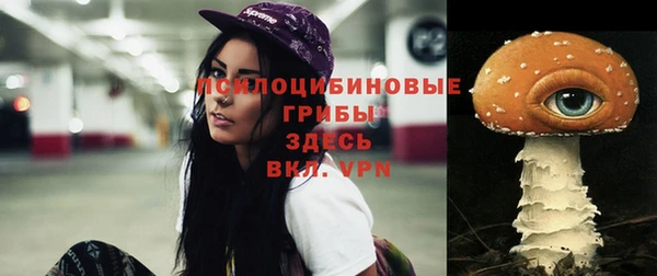 не бодяженный Алзамай