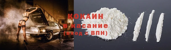 твердый Алексин