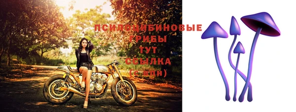 не бодяженный Алзамай