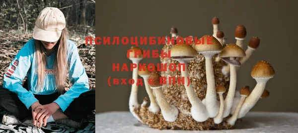 дмт Алексеевка